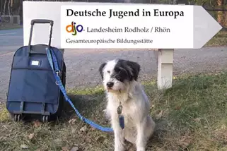 Gesamteuropaeische-Bildungsstaette-DJO-Landesheim-Rodholz__t1727o.webp