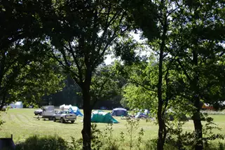 Jugendzeltplatz-Campingpark-Waldwiesen__t8967k.webp