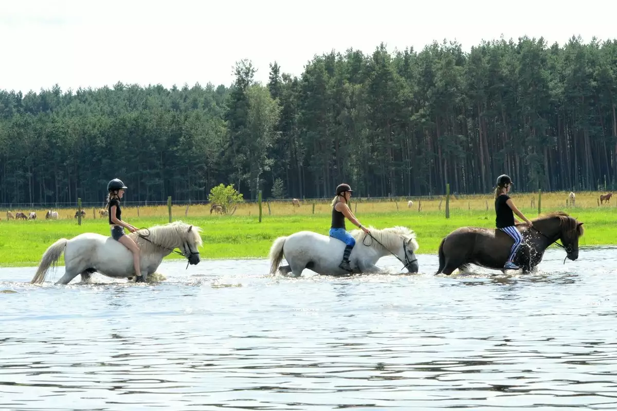 Reiterhof Groß Briesen in Bad Belzig bei Gruppenunterkünfte