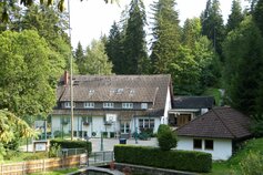 Freizeithaus-Schwarzwaldmuehle-Besenfeld__t2142.jpg