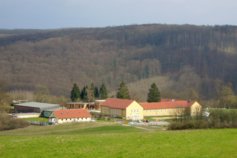 Jugendherberge-Urwald-Life-Camp-Lauterbach__t10582.jpg