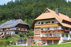 Schlosshof-der-Urlaubsbauernhof__t11813.jpg
