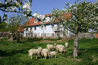 Bauernhof-Schmerhof__t4818.jpg