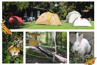 Campingplatz-Weissensee__t7738.jpg