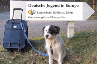 Gesamteuropaeische-Bildungsstaette-DJO-Landesheim-Rodholz__t1727o.jpg