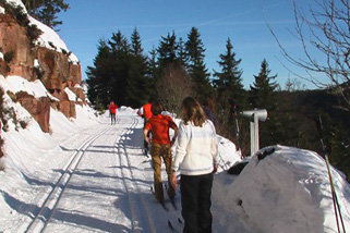 Ski-und-Wanderhuette-Ruhestein__t11030b.jpg