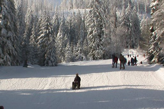 Ski-und-Wanderhuette-Ruhestein__t11030g.jpg