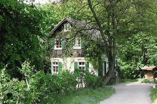 Waldschule-Solingen__t1434.jpg