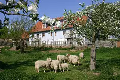 Bauernhof-Schmerhof__t4818.webp