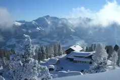 Familienhaus-Steinerhaus__t15844.webp