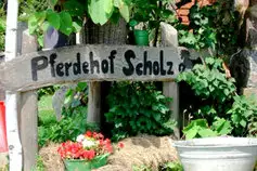 Ferien-und-Pferdehof-Scholz__t12106.webp