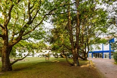Stella-Maris__t174.webp