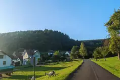 Zwieselmuehle__t15261.webp