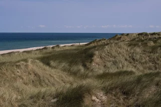 ADS-Schullandheim-Sylt__t221p.webp