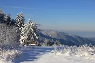 Bregtalhostel-und-Skiinternat-Furtwangen__t11650i.webp