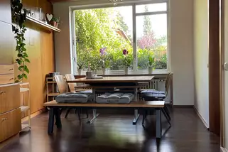 Ferienwohnung-im-Obstgarten-in-Bad-Pyrmont__t15182g.webp