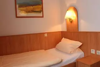 HARZ-HOTEL-und-Gaestehaus__t12213l.webp