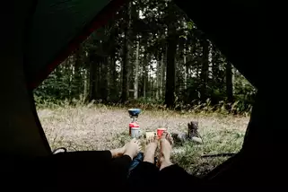 Harz-Camp-Bremer-Teich__t5214h.webp