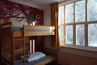 Jugendhof-Bessunger-Forst__t15783h.webp