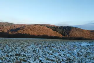 Naturfreundehaus-Berg__t12846u.webp