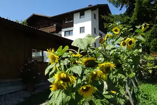 Pension-Moarhof-in-Suedtirol__t11941t.webp