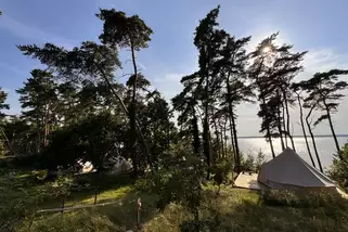 Red-Woods-Glamping-Lodge__t15005e.webp