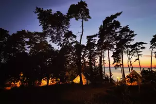 Red-Woods-Glamping-Lodge__t15005f.webp