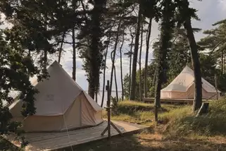 Red-Woods-Glamping-Lodge__t15005g.webp