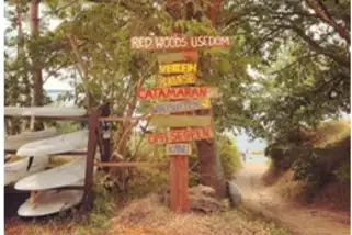 Red-Woods-Glamping-Lodge__t15005h.webp