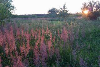Refugium-Hoher-Flaeming__t15185e.webp