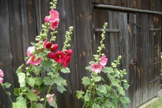 Refugium-Hoher-Flaeming__t15185f.webp