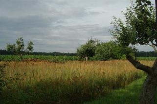 Refugium-Hoher-Flaeming__t15185j.webp