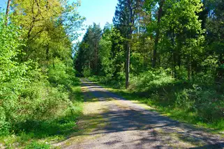 Schullandheim-Waldhaus__t450k.webp